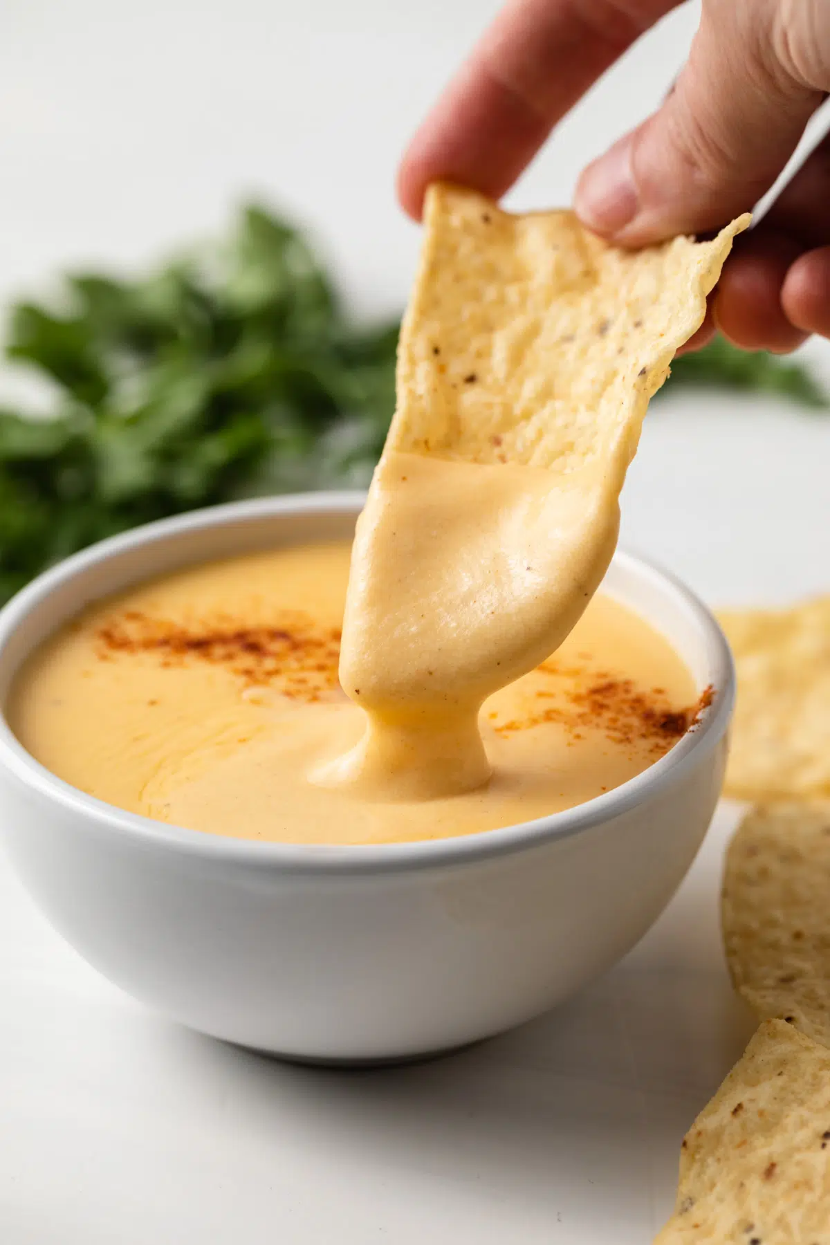 A chip scooping up cheese sauce from a white bowl.