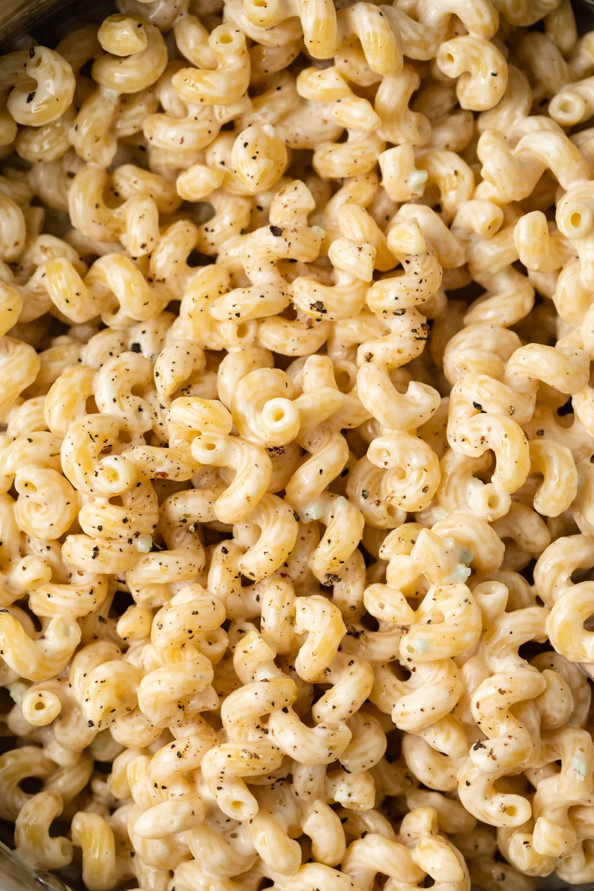 Close up of pasta coated in lemon pepper garlic cream sauce.