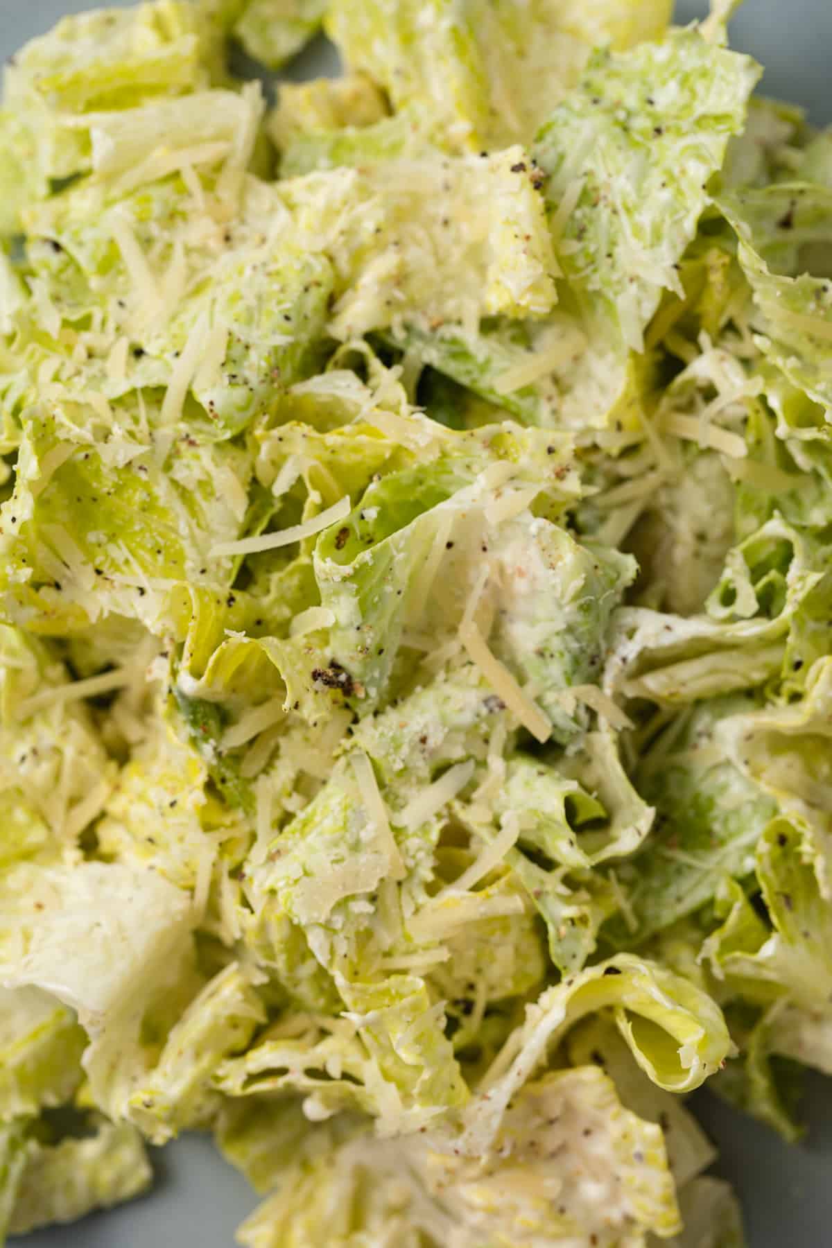 Close up of caesar salad.
