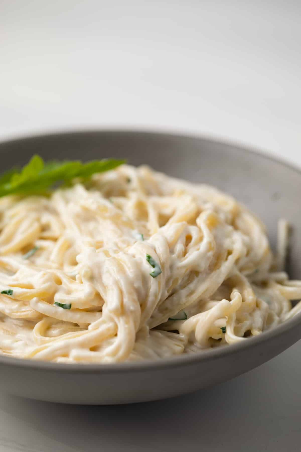 Pasta coated in garlic cream sauce.