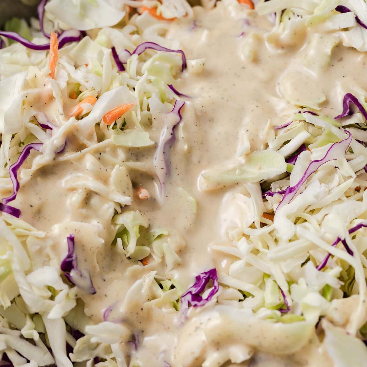 Homemade Coleslaw Dressing