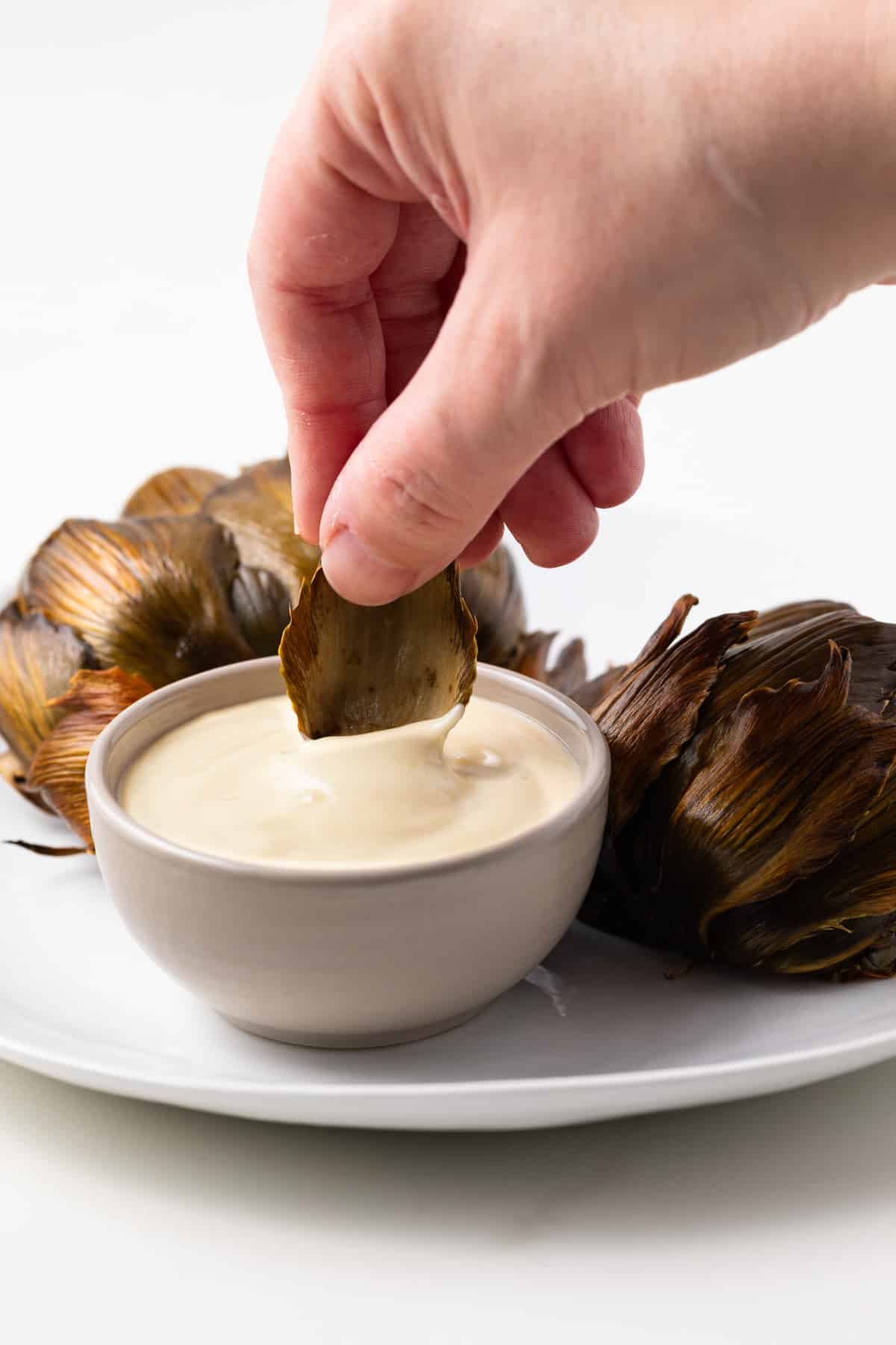 Artichoke petal dipped in artichoke dipping sauce.
