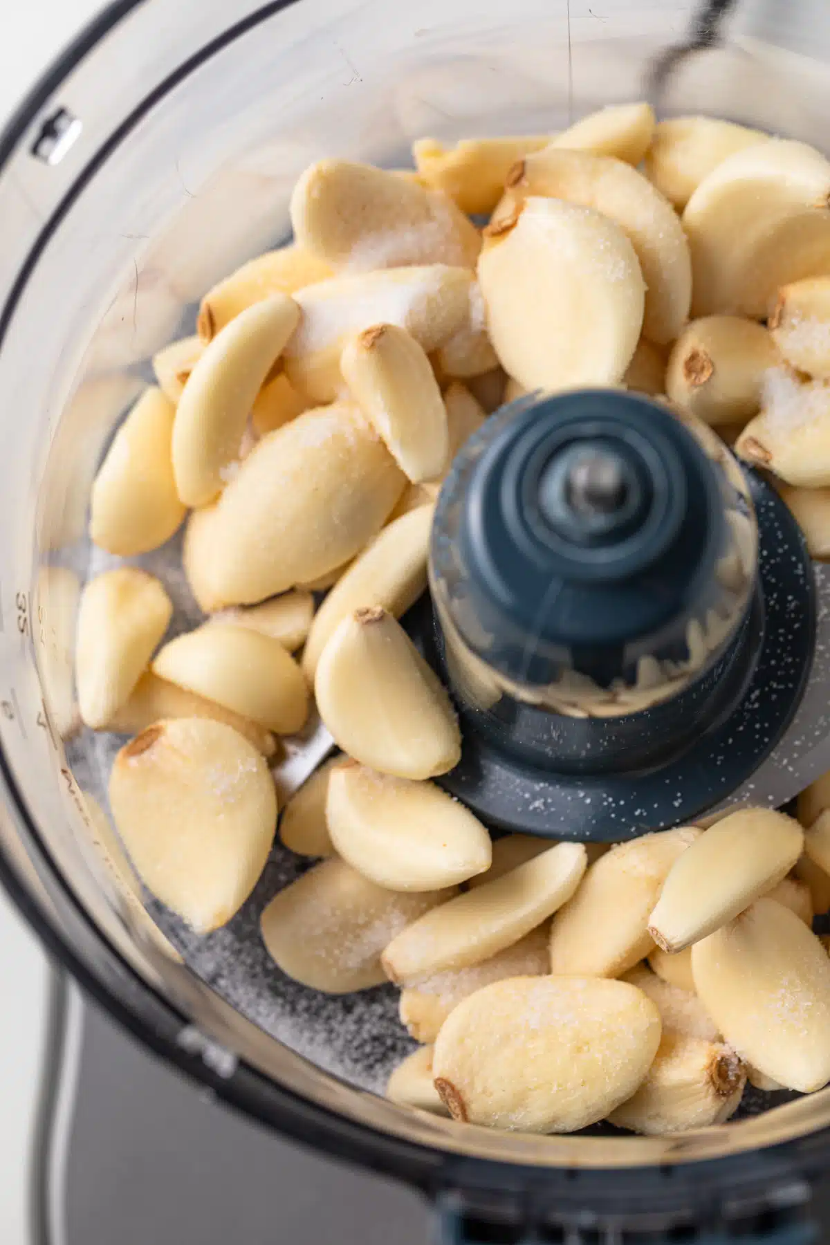 Garlic and salt in the bowl of a food processor.